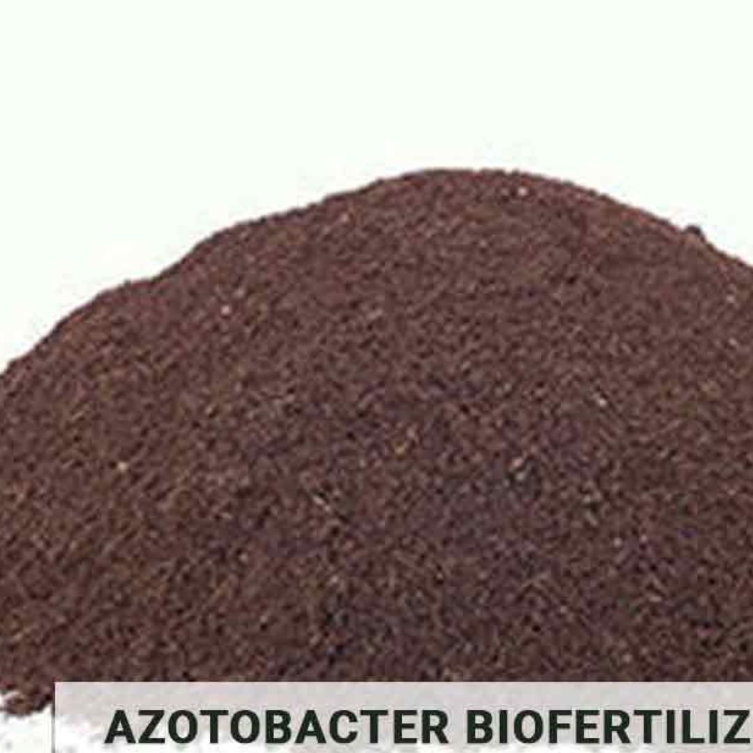 Organic Bio Fertilizer in India