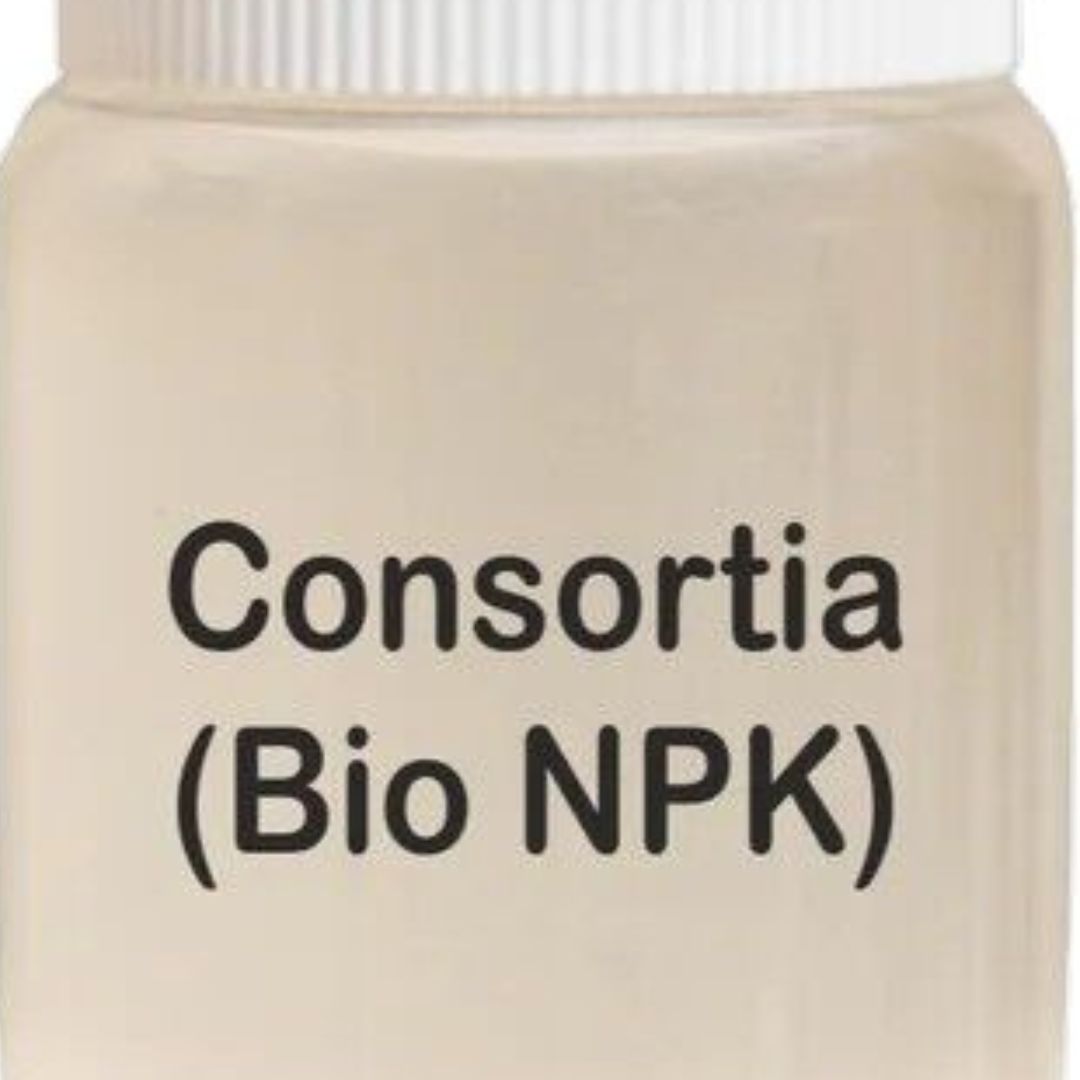 Organic Bio Fertilizer in India