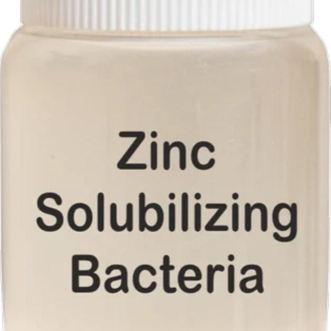 Organic Bio Fertilizer in India