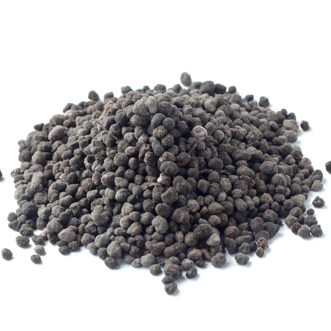 Organic Bio Fertilizer in India