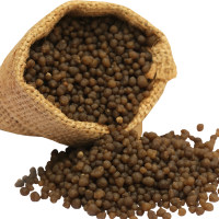 Plant Growth Primary Nutrients