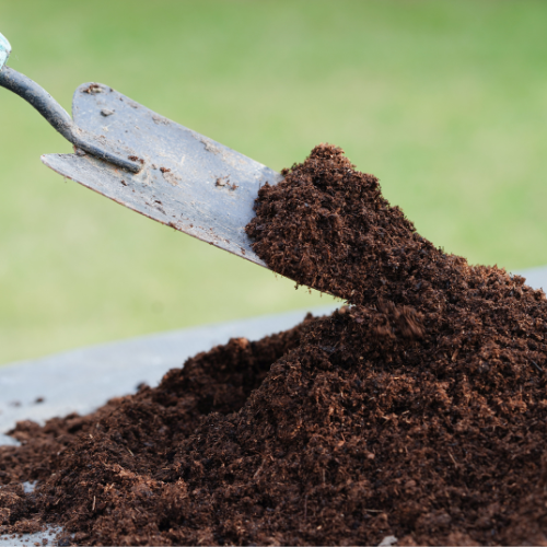 primary nutrients for plants